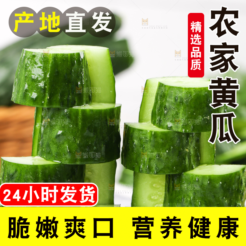 木底上堆放着新鲜黄瓜