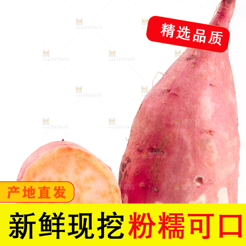 白底上摆放着蜜薯