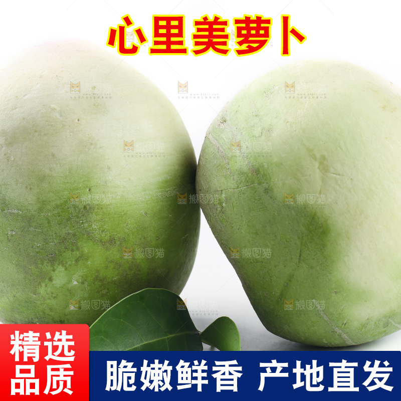 白底上摆放着心里美萝卜