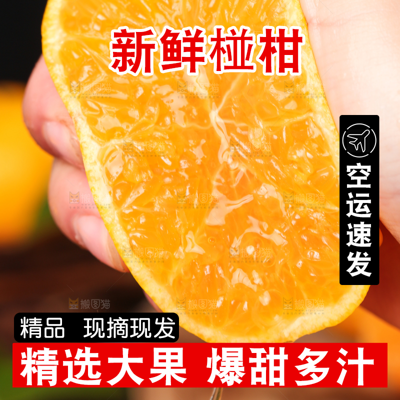 手里拿着芦柑