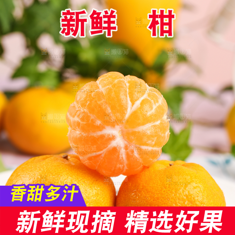 盘子里摆放着椪柑橘