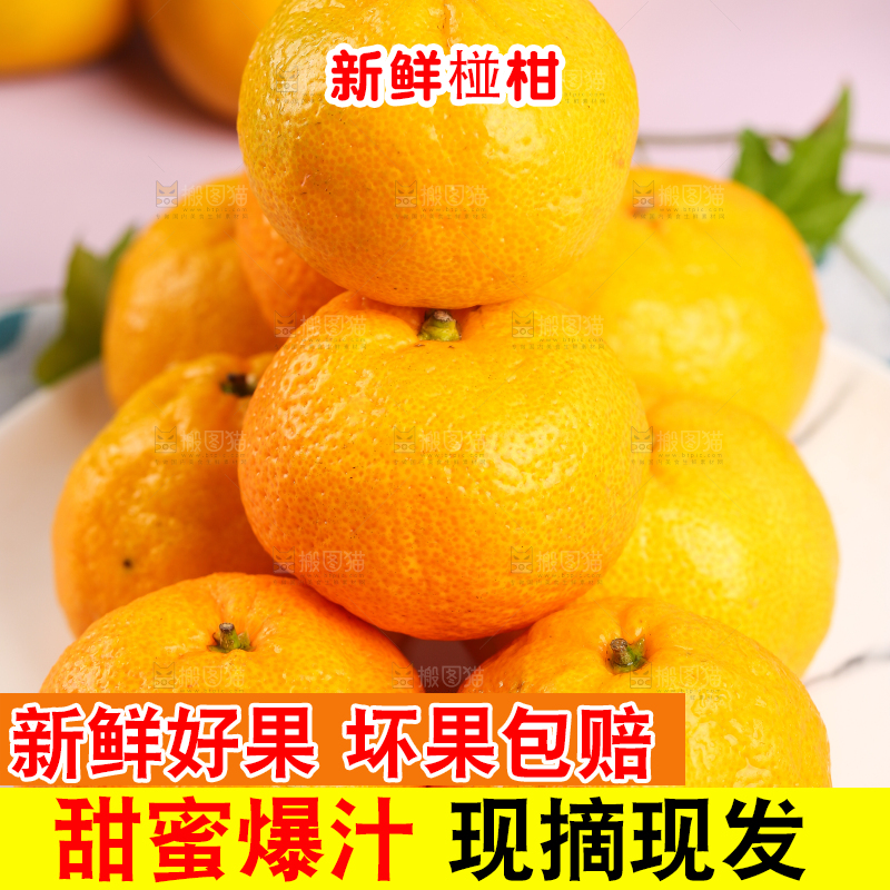 盘子里摆放着椪柑橘