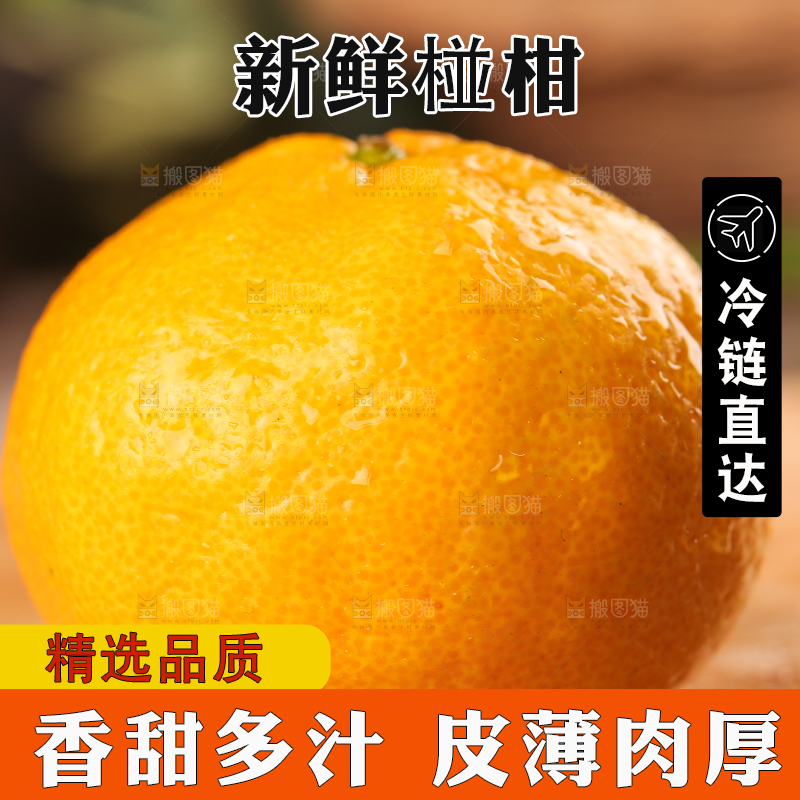 木底上摆放着椪柑