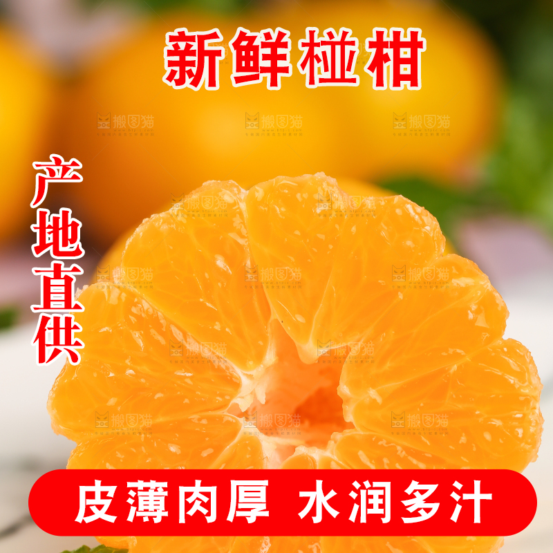 碟子里装着椪柑橘