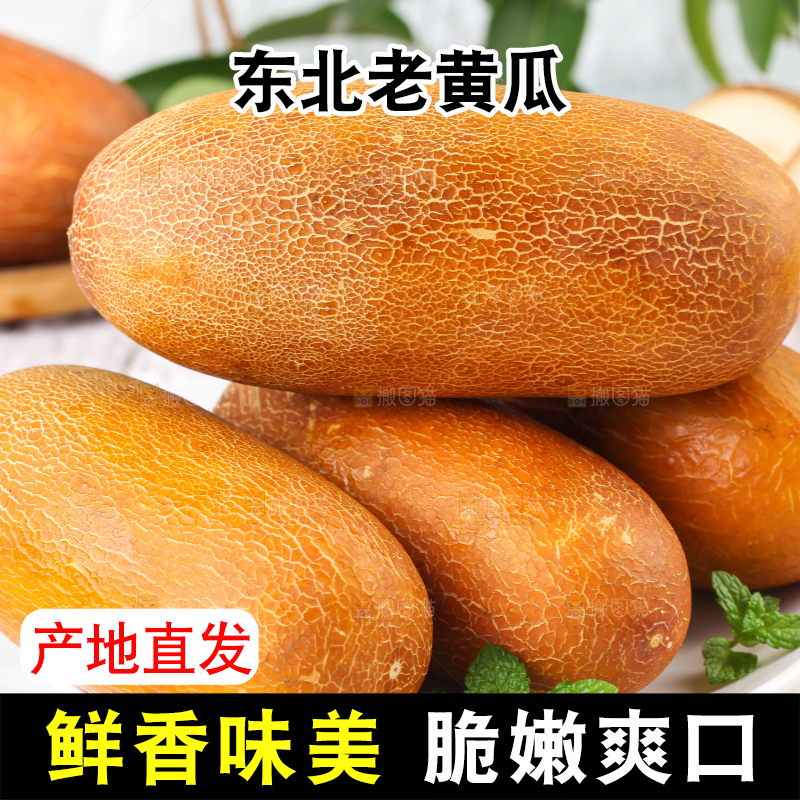 盘子里装着老黄瓜