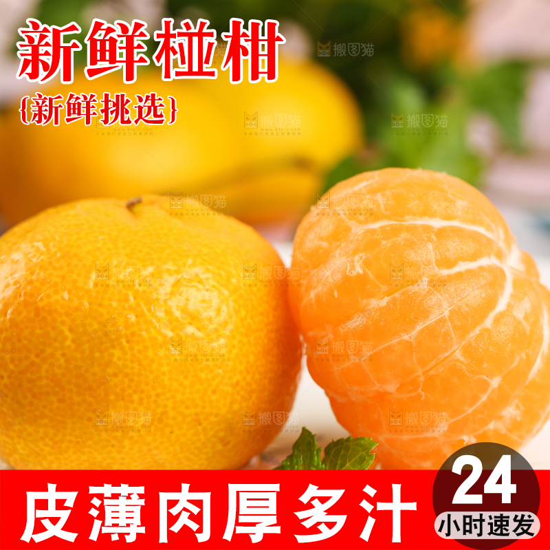 盘子里摆放着椪柑橘