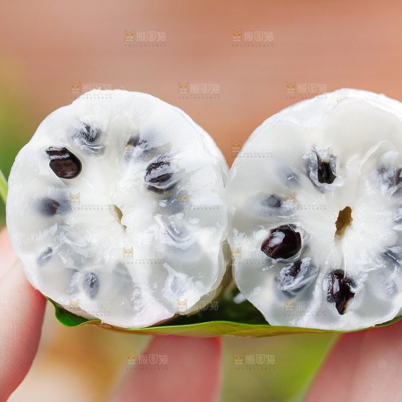 手里拿着八月瓜
