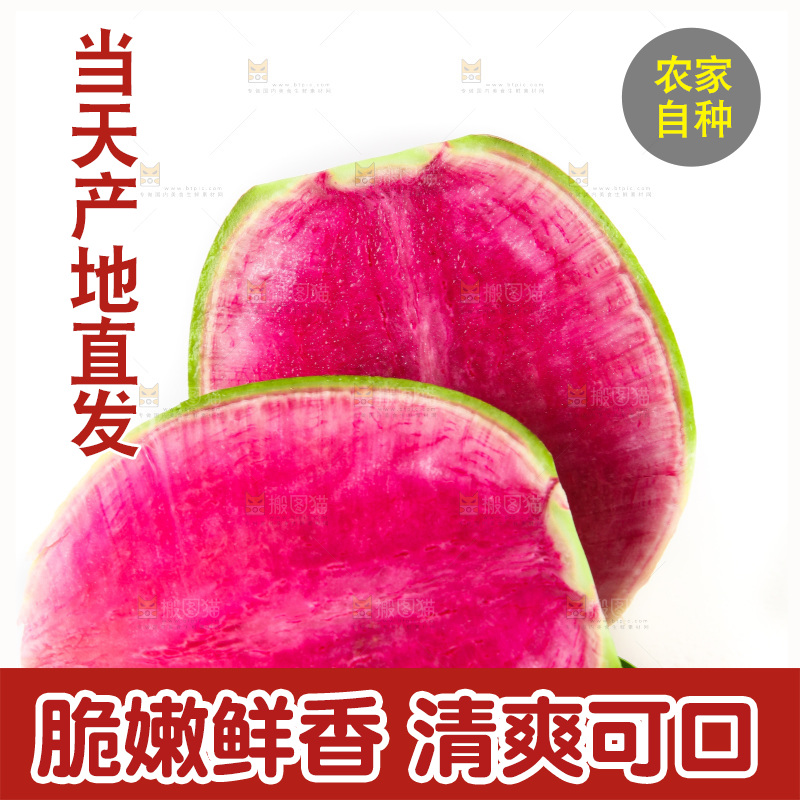 白底上摆放着青皮萝卜
