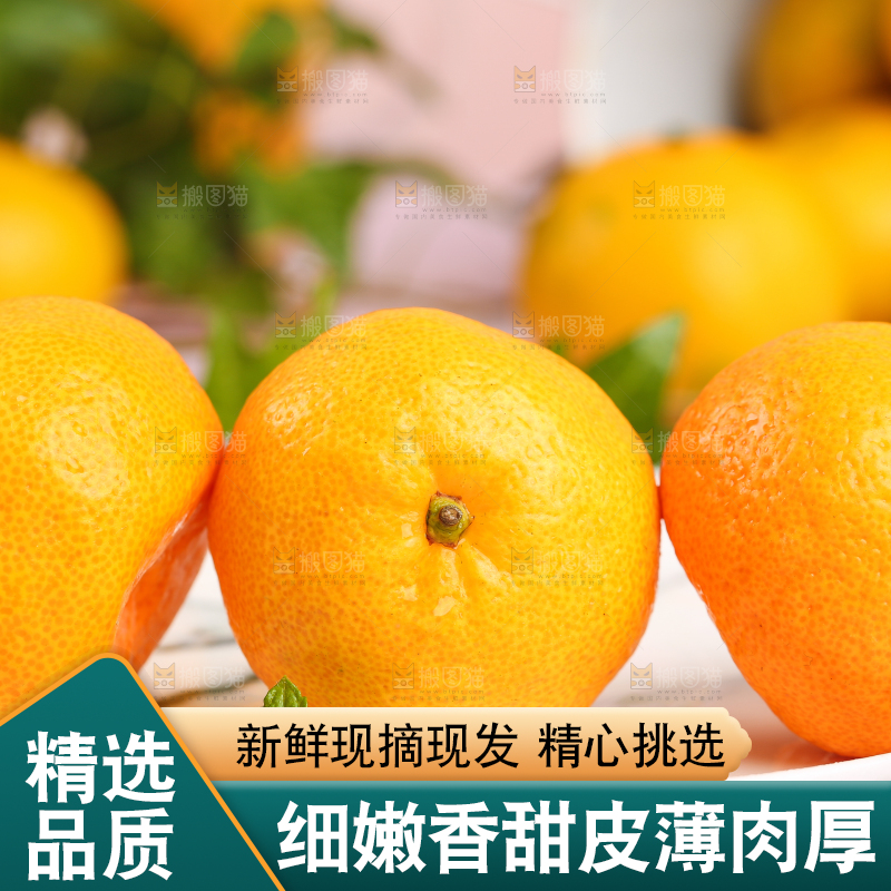 盘子里摆放着椪柑橘