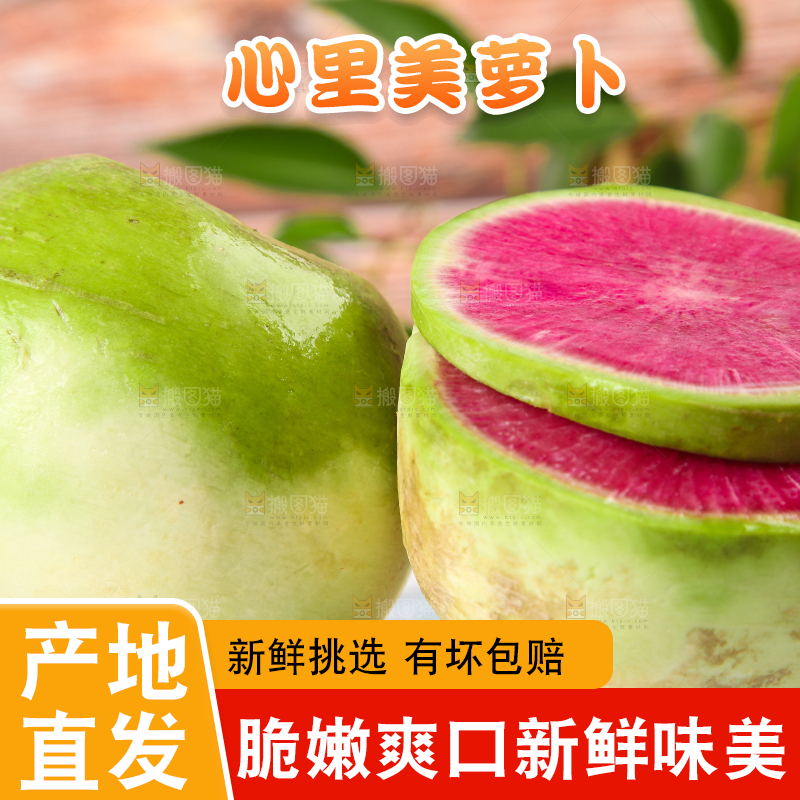 浅底上摆放着心里美萝卜