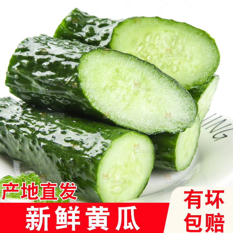 碟子里放着青黄瓜