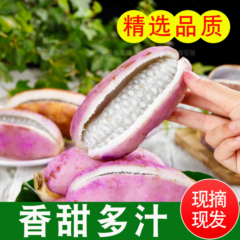 手里拿着八月瓜