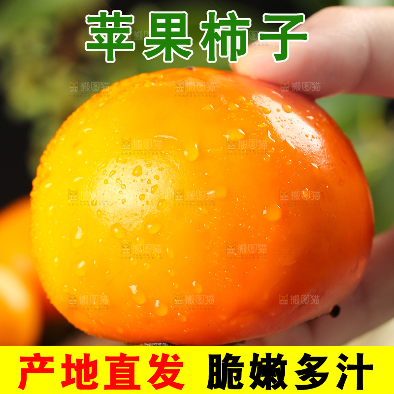 手里拿着脆甜柿子