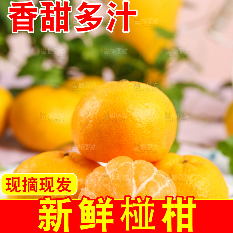 盘子里摆放着椪柑橘