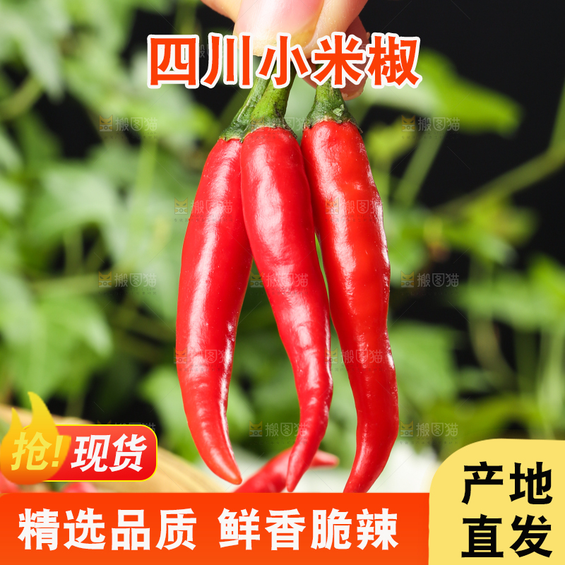 手里拿着红尖椒