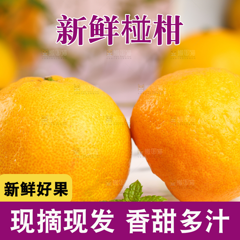 盘子里摆放着椪柑橘