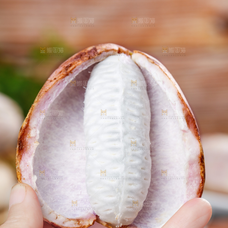 手里拿着紫皮八月瓜