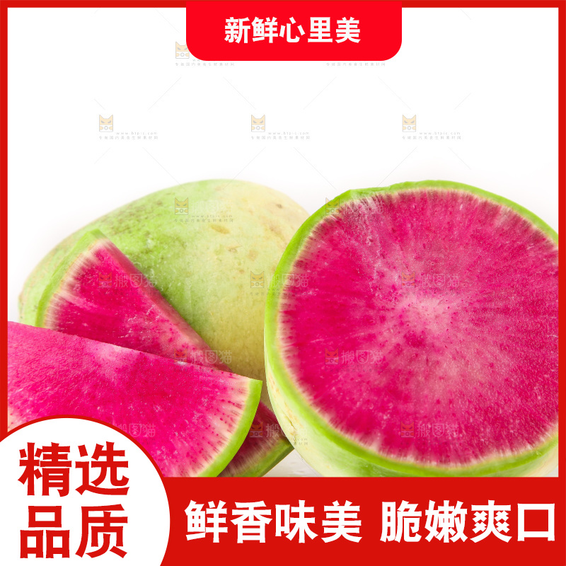 白底上的心里美萝卜