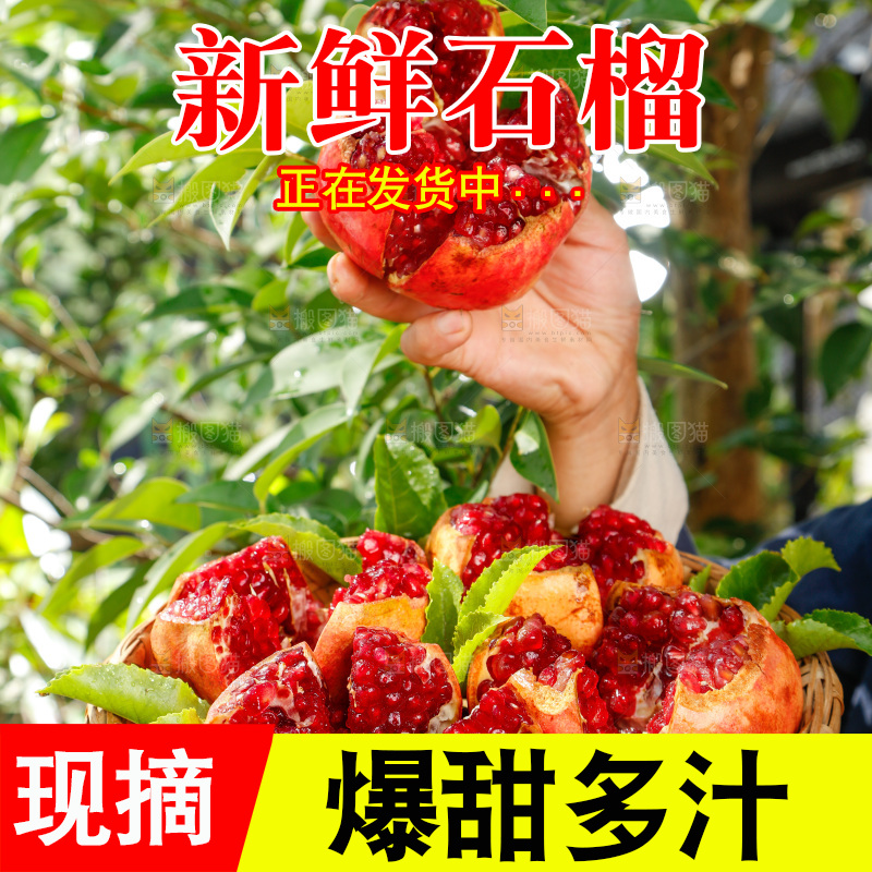 手里端着红石榴
