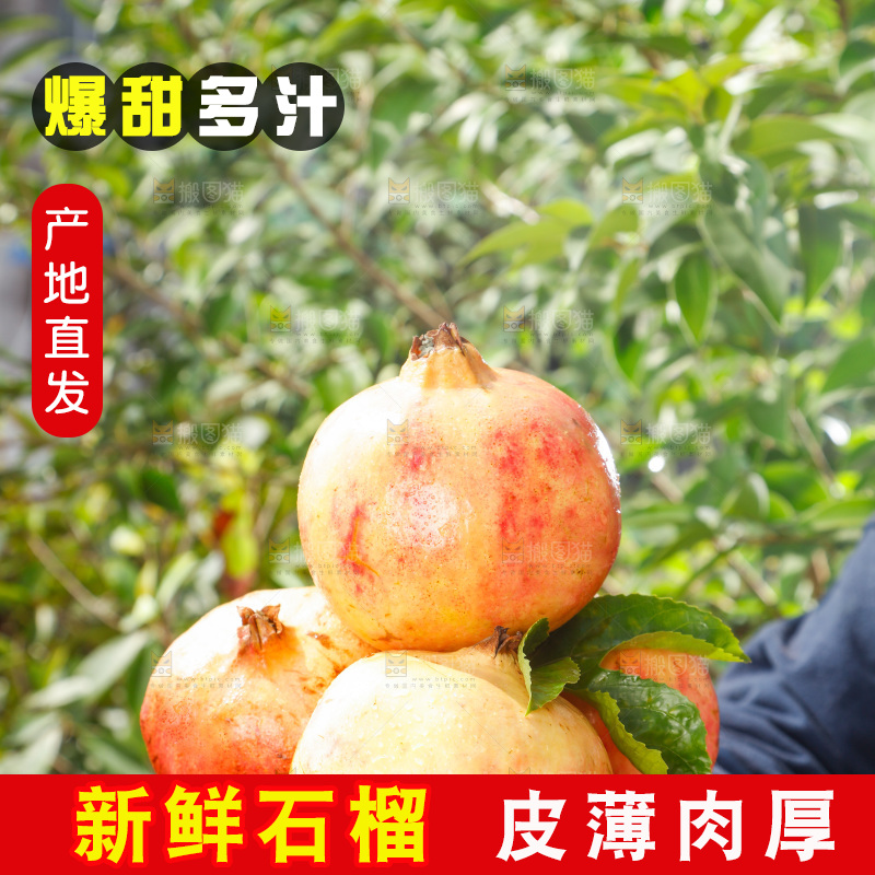 手里拿着红石榴
