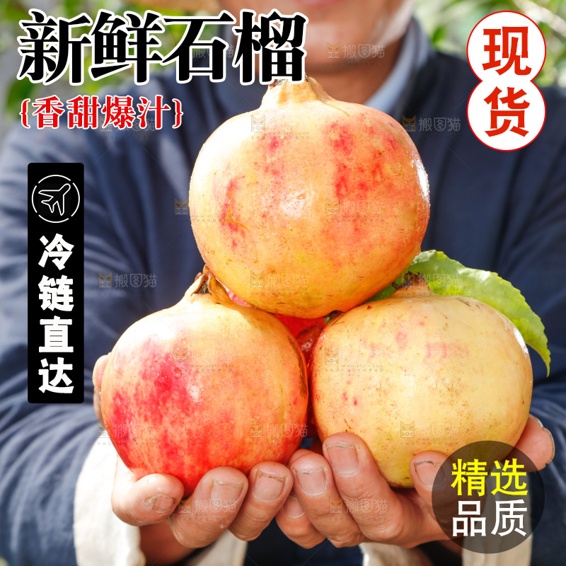 手里拿着红石榴