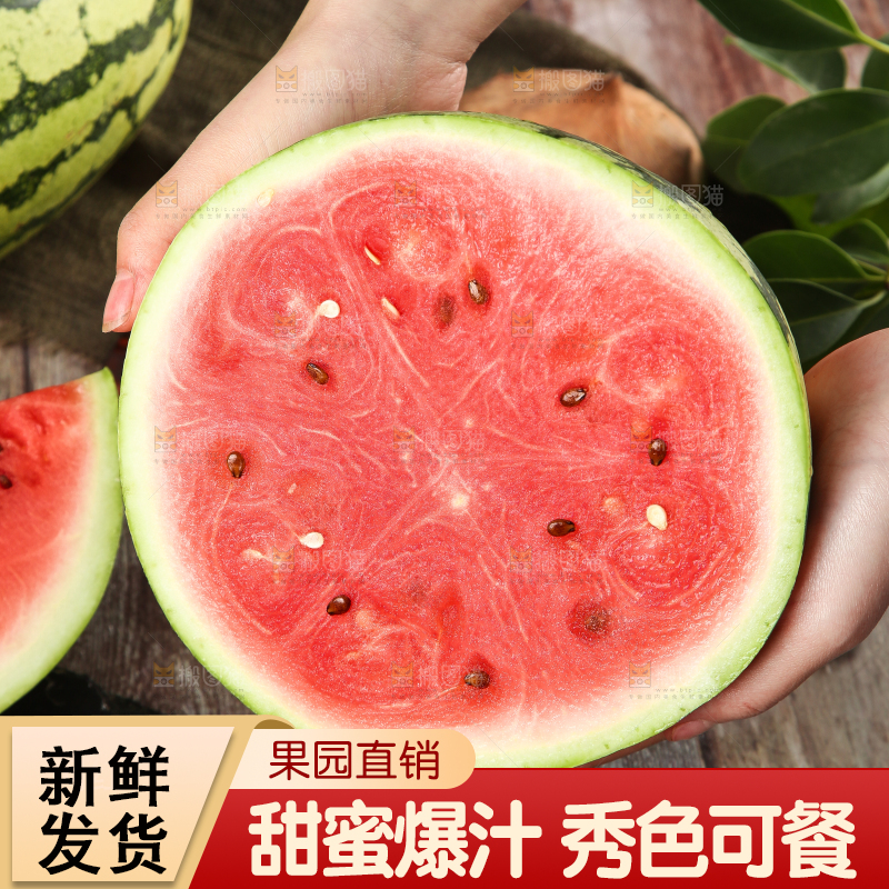 手里拿着冰糖西瓜