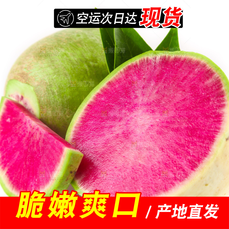 白底上的心里美萝卜