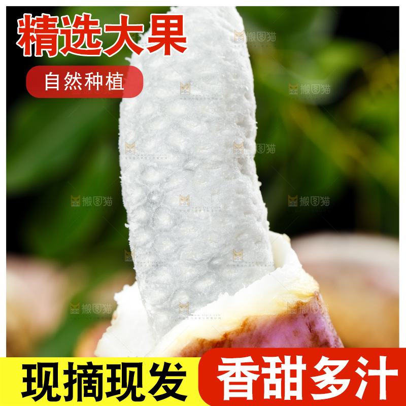 手里拿着八月瓜