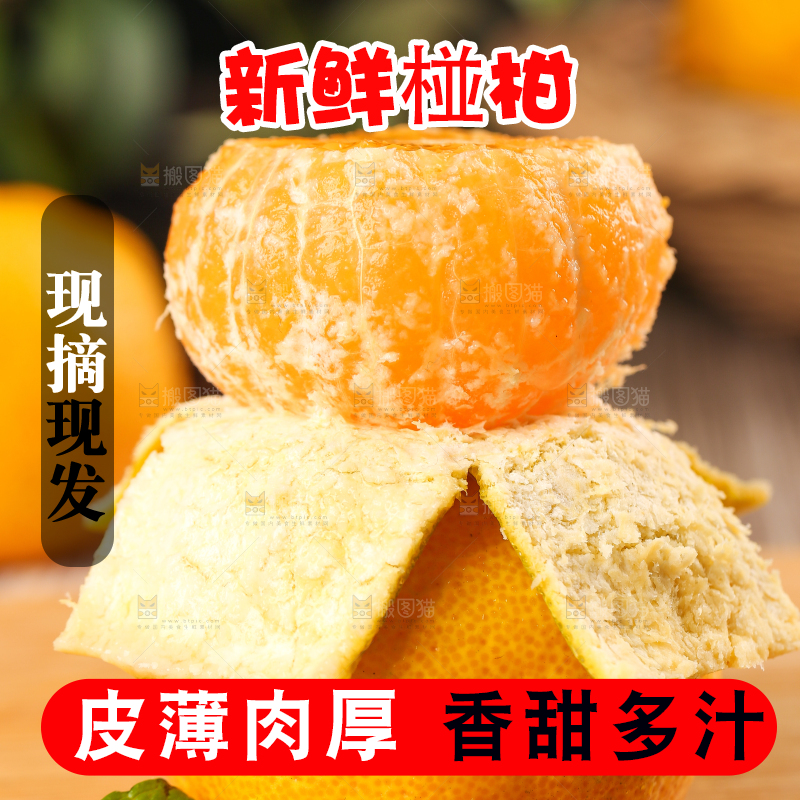 木底上摆放着椪柑