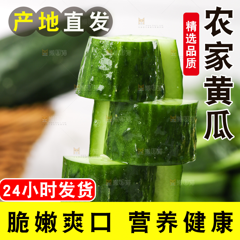 木底上堆放着新鲜黄瓜