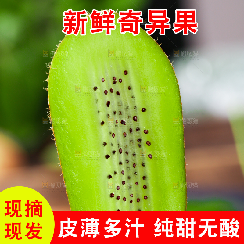 手里拿着切片的奇异果