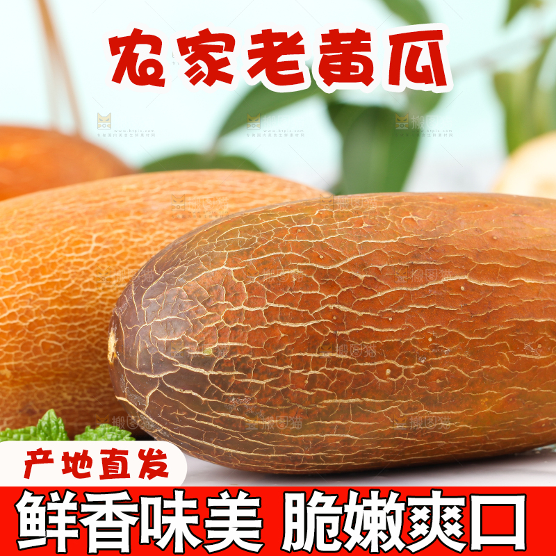 浅底上放着老黄瓜