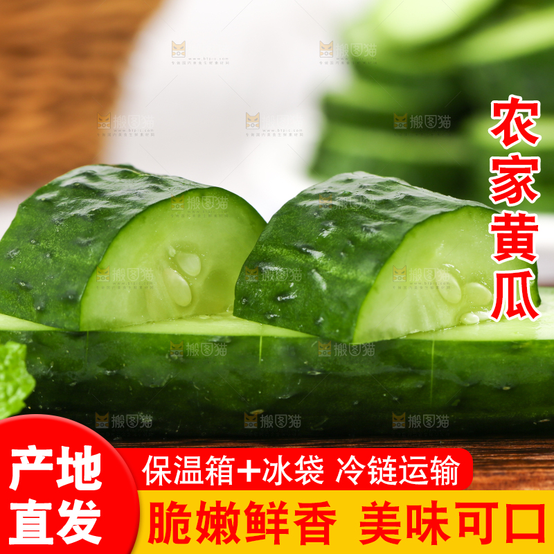 木底上堆放着新鲜黄瓜