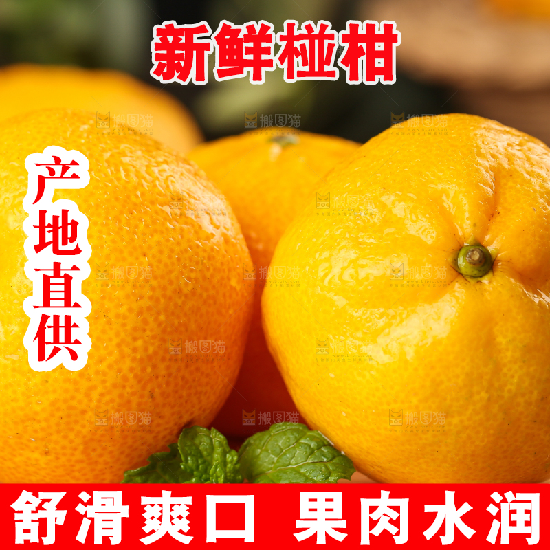 木底上摆放着椪柑