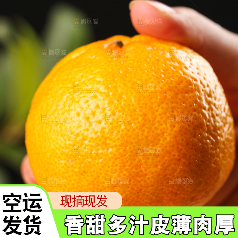 手里拿着芦柑