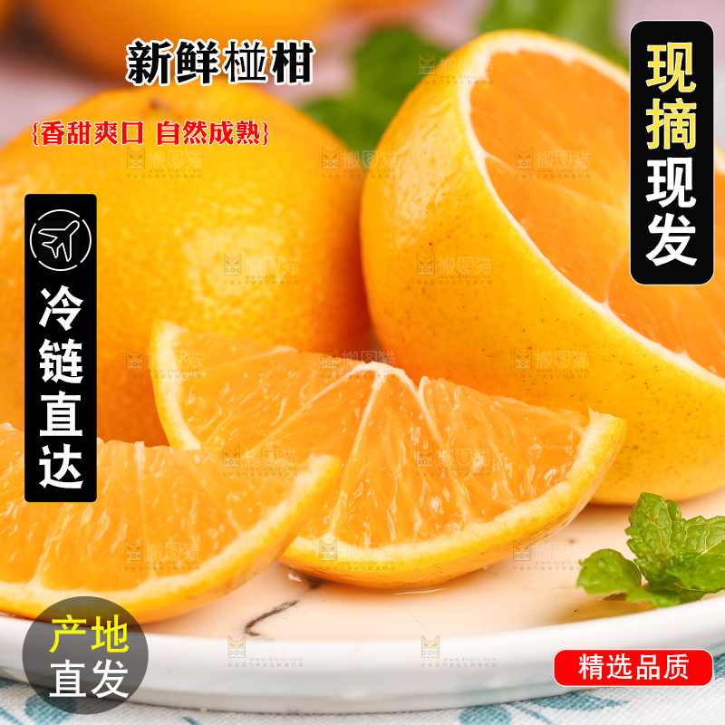 碟子里装着椪柑橘