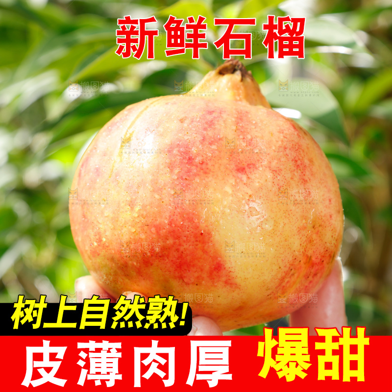 手里拿着红石榴