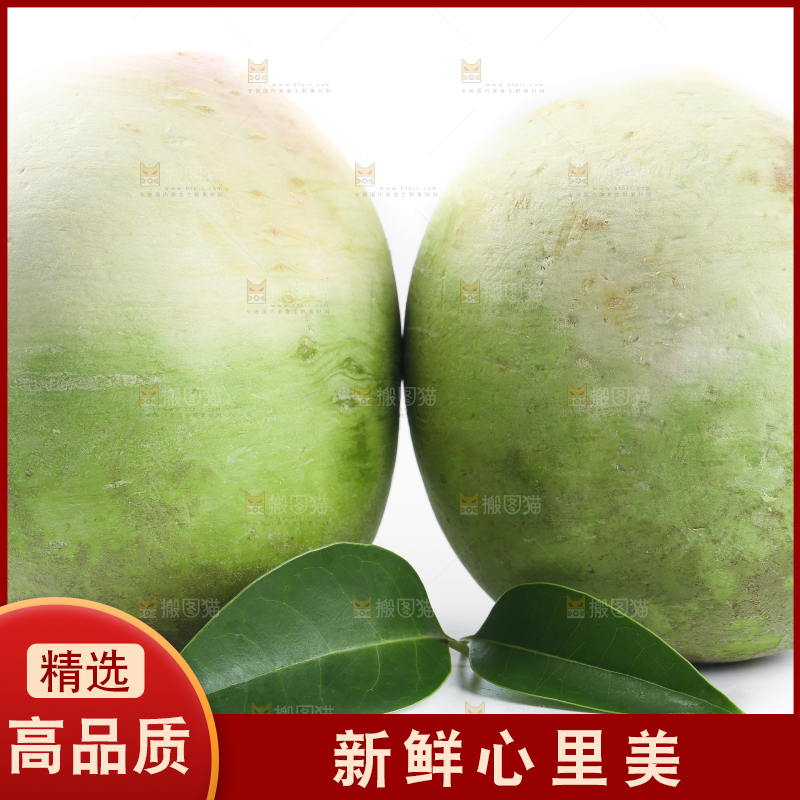白底上摆放着心里美萝卜