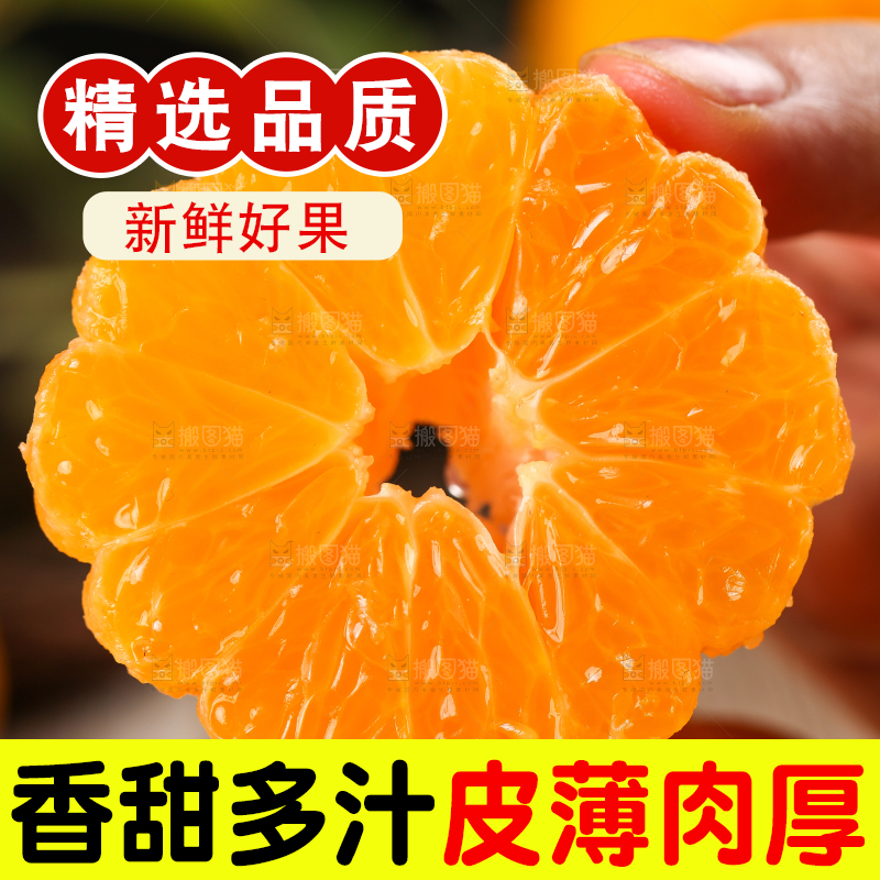 手里拿着芦柑