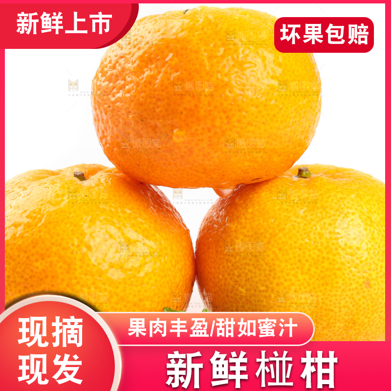 白底上摆放着椪柑橘