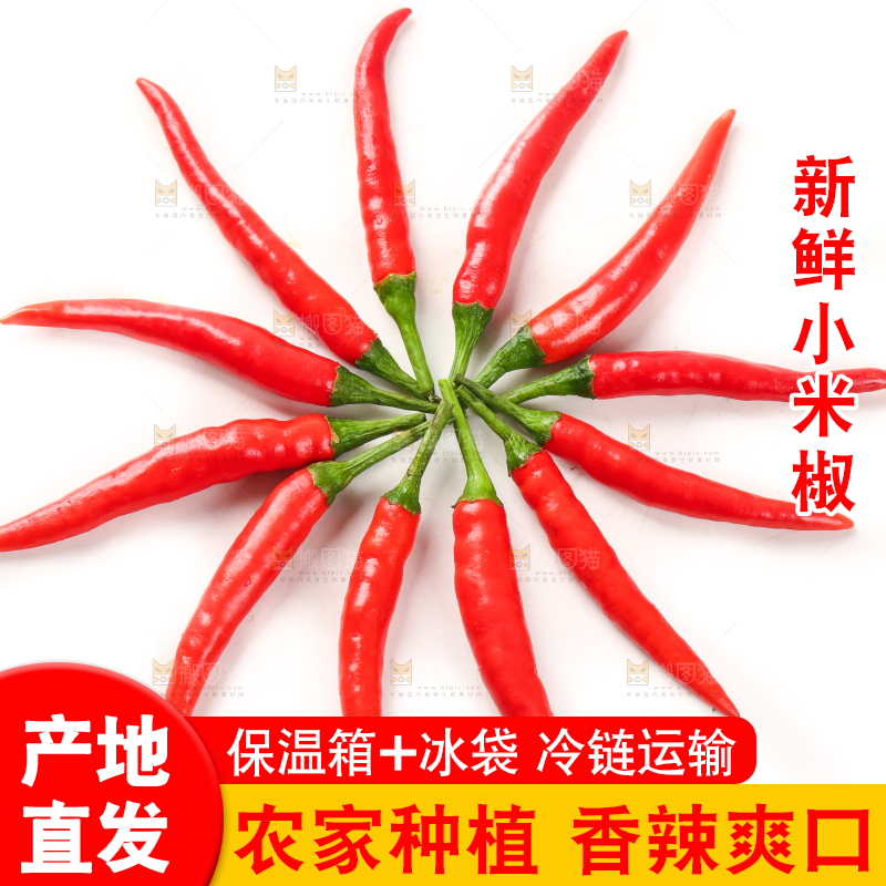 白底上摆放着红辣椒
