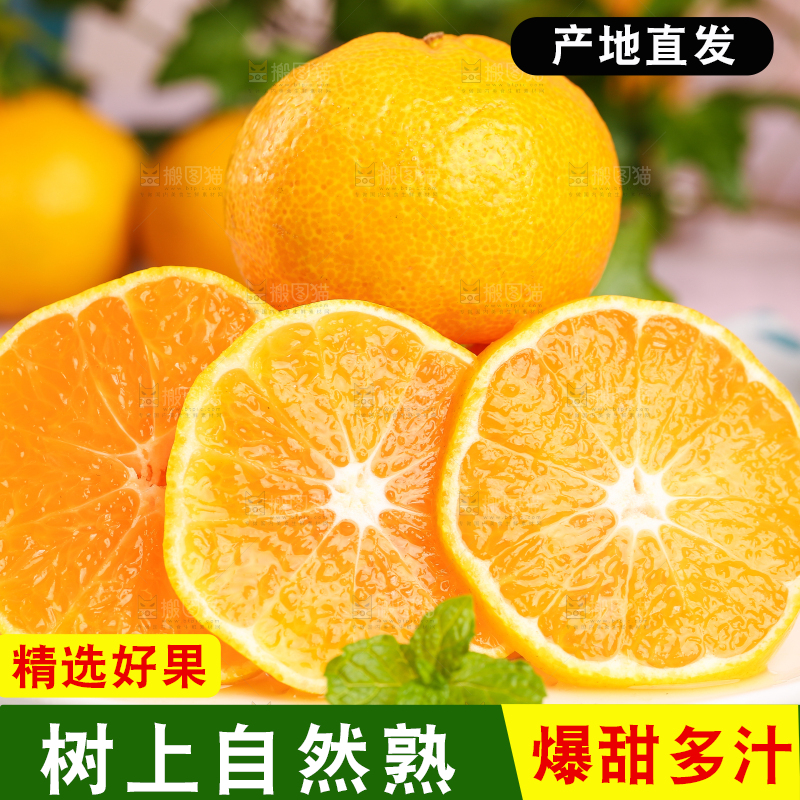 碟子里装着椪柑橘