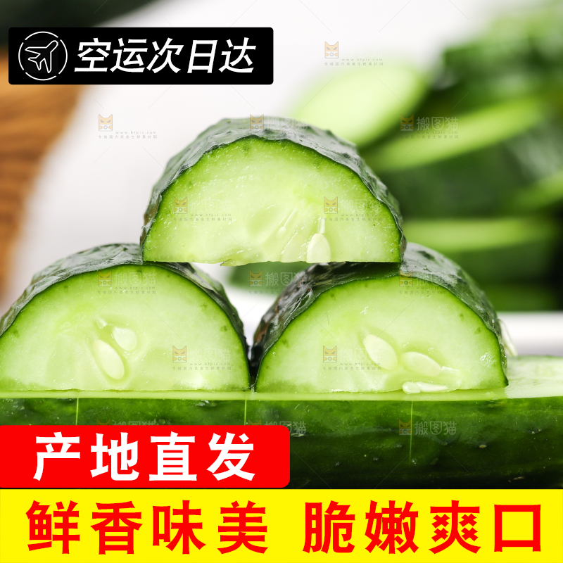 木底上堆放着新鲜黄瓜