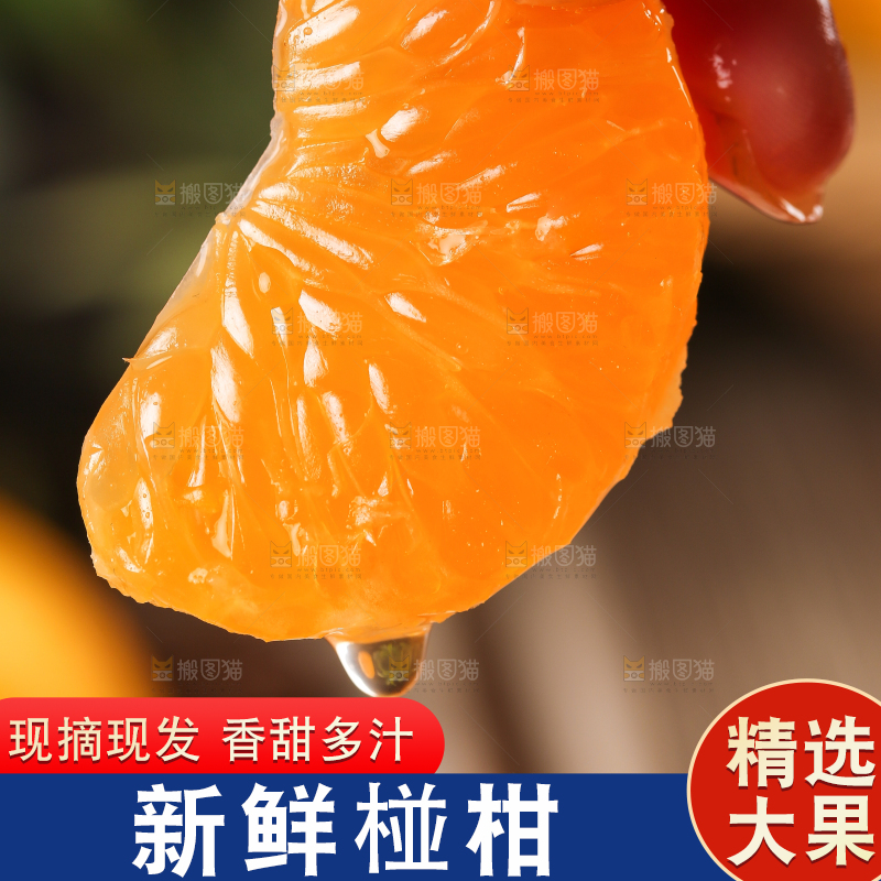 手里拿着芦柑