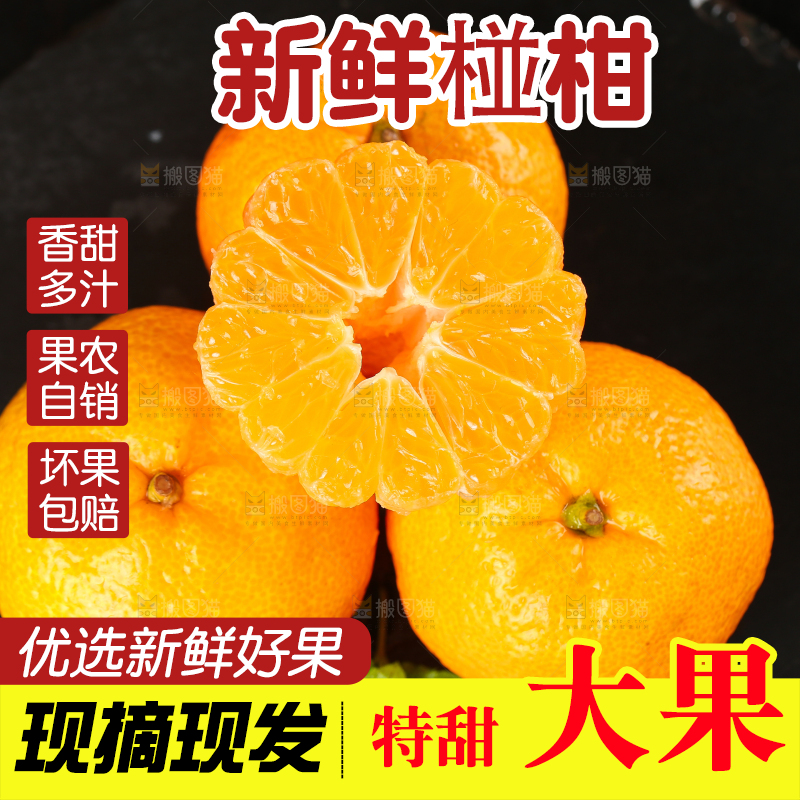 黑底上摆放着椪柑