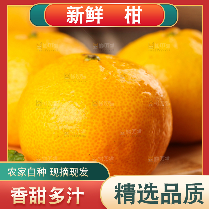 木底上摆放着椪柑