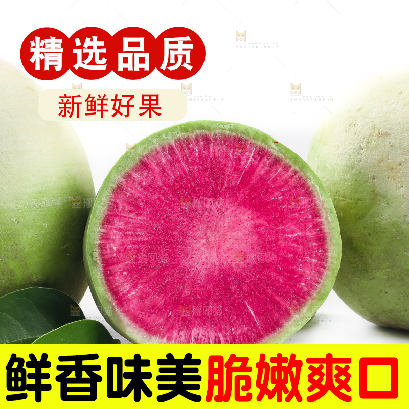 白底上摆放着心里美萝卜