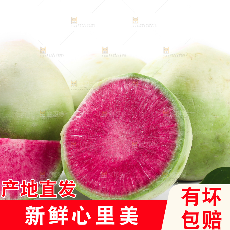 白底上摆放着心里美萝卜