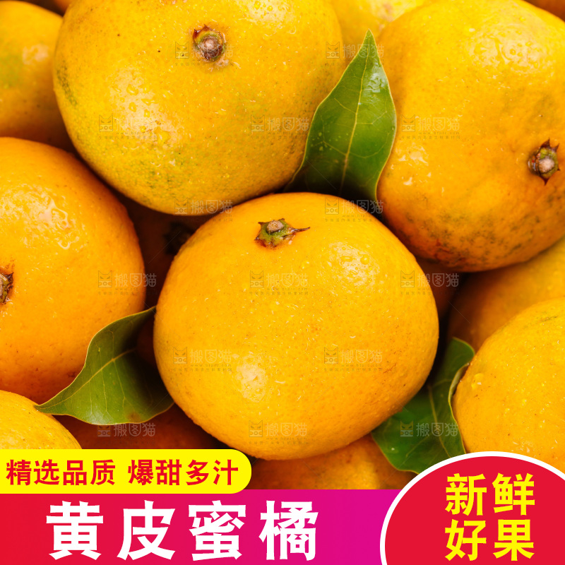 堆放着黄皮蜜橘