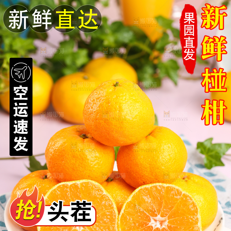 浅底上摆放着椪柑橘